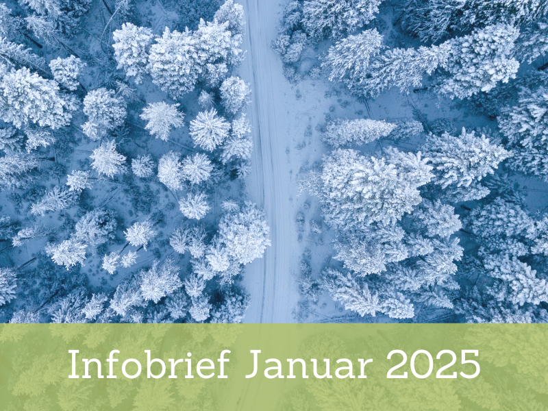 Infobrief 01-2025